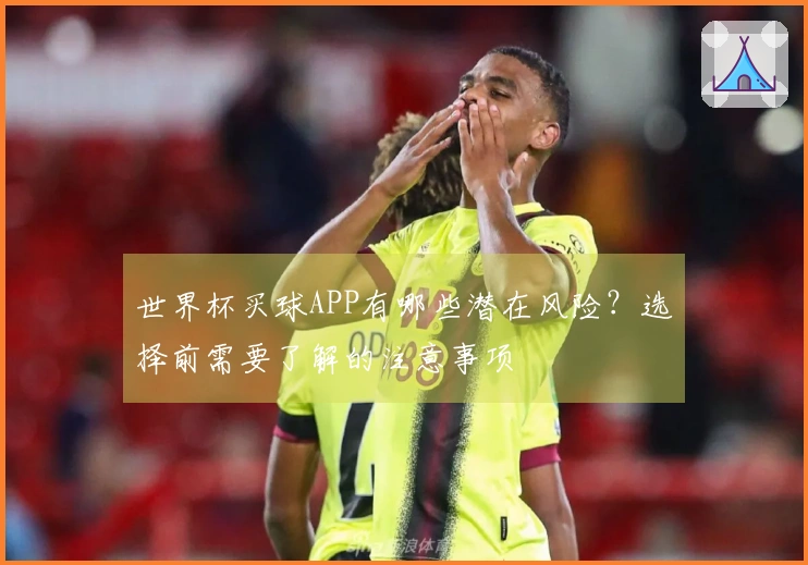 世界杯买球APP有哪些潜在风险？选择前需要了解的注意事项