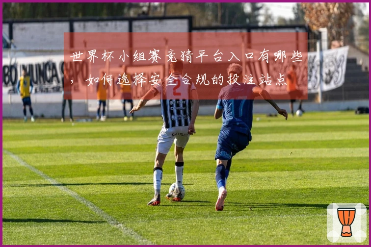世界杯小组赛竞猜平台入口有哪些，如何选择安全合规的投注站点