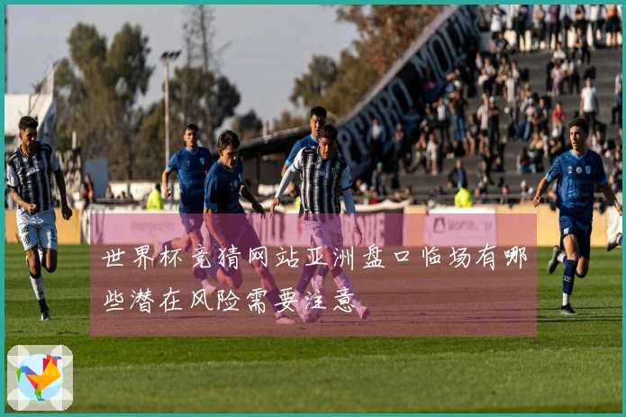 世界杯竞猜网站亚洲盘口临场有哪些潜在风险需要注意